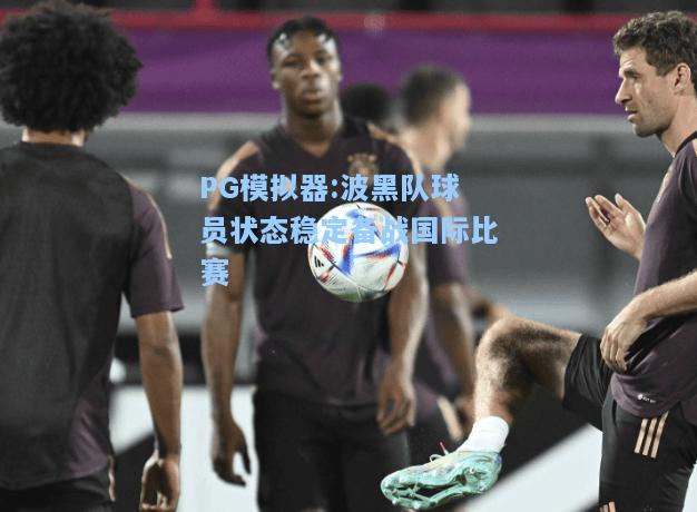 波黑队球员状态稳定备战国际比赛